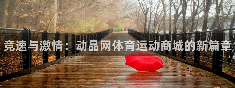 意昂的动画