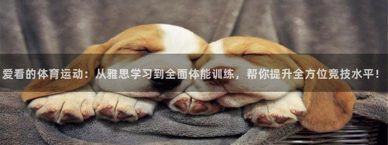 沐鸣2f凯捷平台在线注册