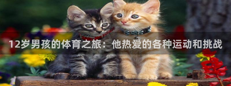 意昂体育注册代理