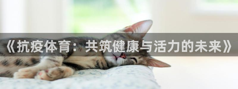沐鸣2官网注册